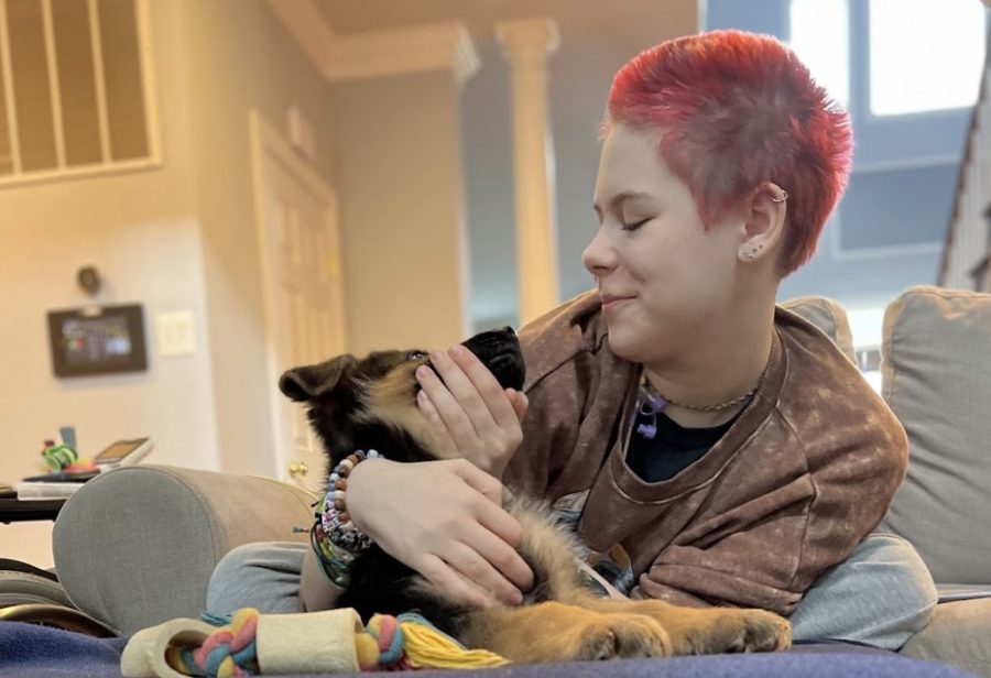 Woodgrove student Meredith Buxton with their puppy, Remus.