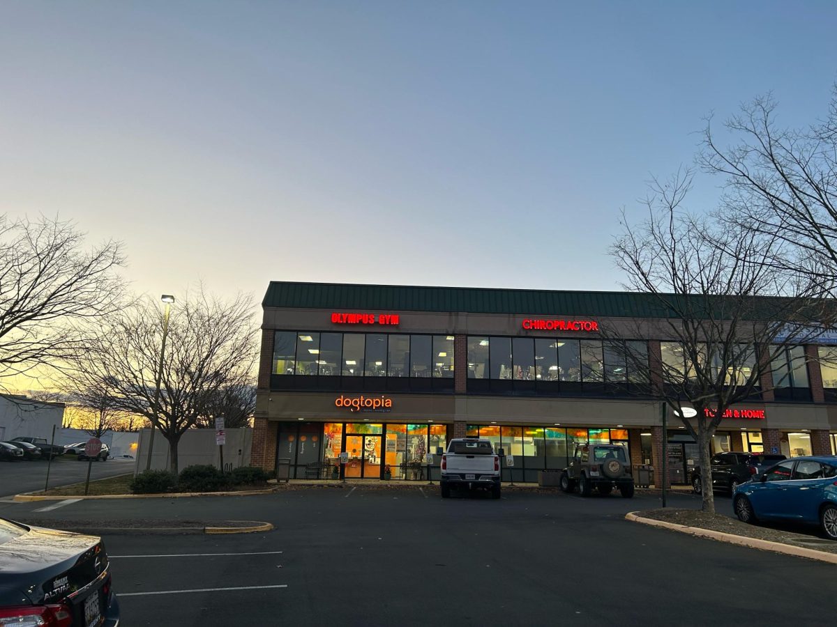 Olympus Gym and its neighboring businesses in Purcellville.
