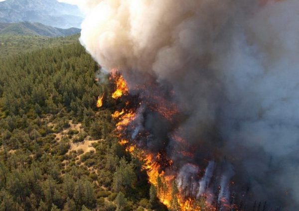 A display of how wildfires spread. Photo provided by Creative Commons.