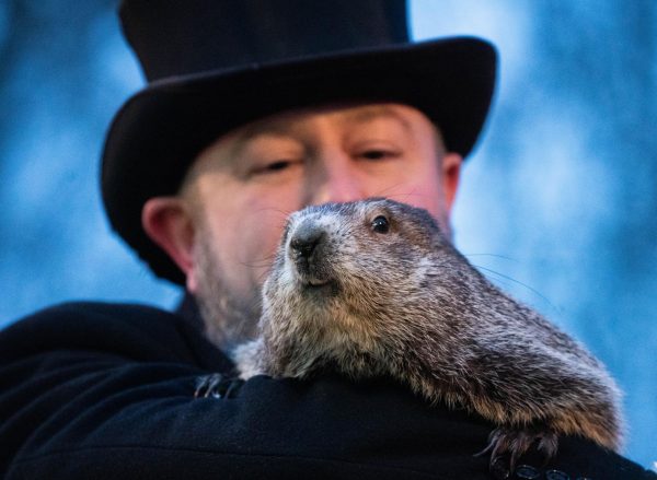 Punxsutawney Phil and a member of his Inner Circle, 2022. Photo provided by Creative Commons.