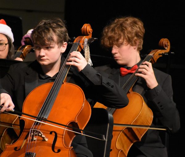 Orchestra students perform during a concert. Photo provided by LifeTouch.