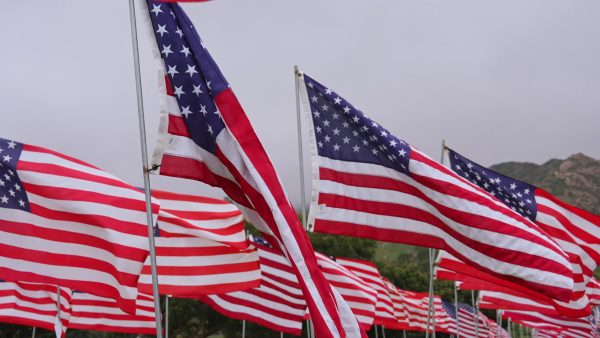 American flags on a field. Photo provided by Aerial Film Studio.