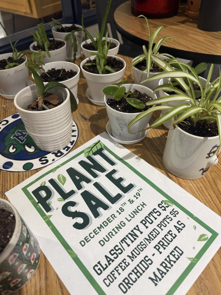 Garden Club’s plants in ceramic cups are set up for the plant sale. Photo provided by Breanne McPherron. 