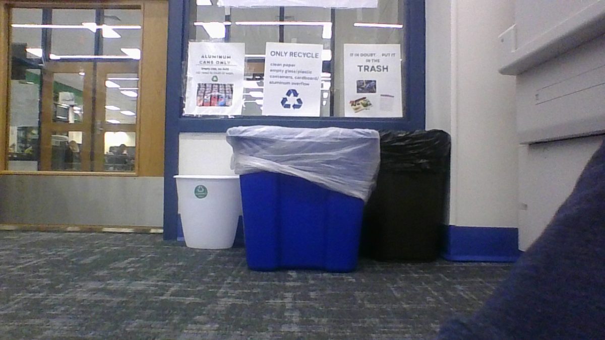 The new recycling bins in the school library. Photo provided by Lucca Marraccini.